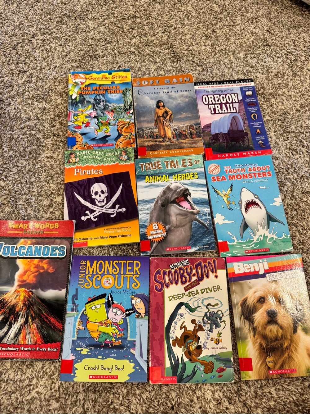 Scholastic Children's Book Lot - Colorful Kids Titles 10